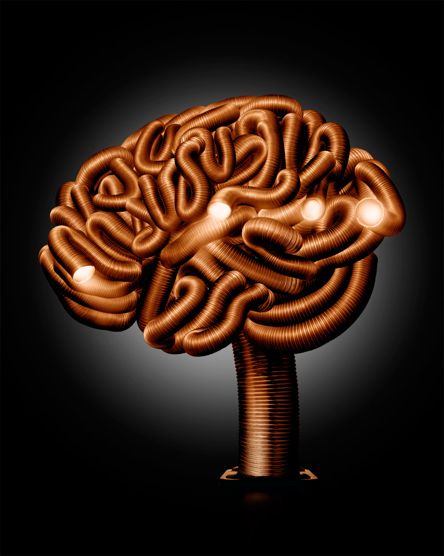 How the brain is constructed photo-illustration by John Kuczala