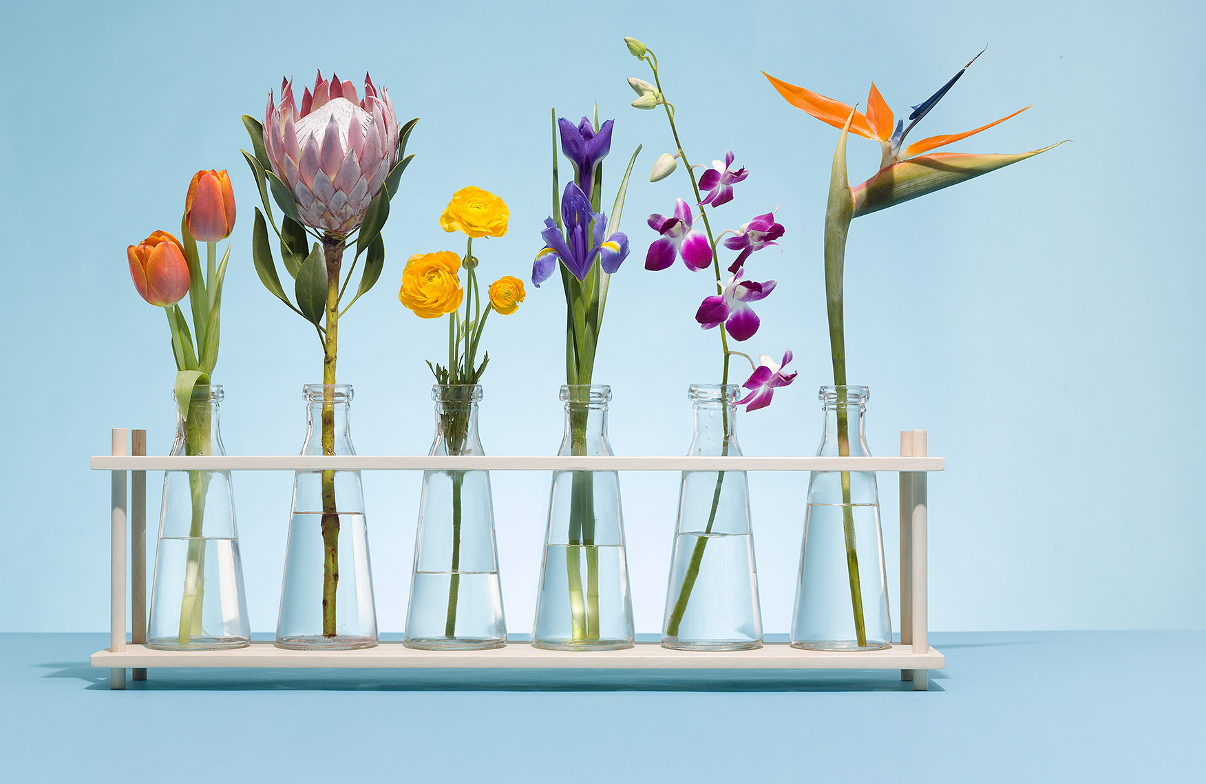 Diverse and beautiful flowers in beakers photo by John Kuczala